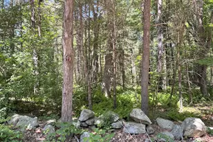 19 Whitney, Berlin, MA 01503 - Photo 1