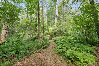 68 Spring St, Hopkinton, MA 01748 - Photo 34