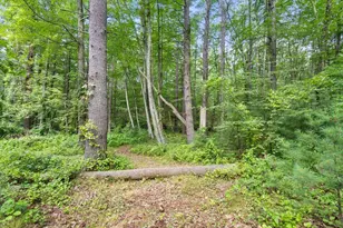 68 Spring St, Hopkinton, MA 01748 - Photo 36