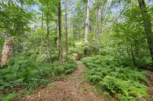 68 Spring St, Hopkinton, MA 01748 - Photo 34