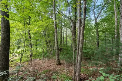 70 Spring St, Hopkinton, MA 01748 - Photo 14