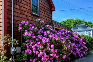 17 Stafford St, Plymouth, MA 02360 - Photo 4