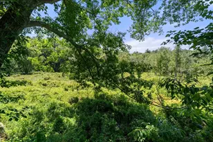 18 Wood St, Southborough, MA 01772 - Photo 38