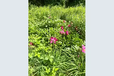137 Spofford Rd, Boxford, MA 01921 - Photo 20