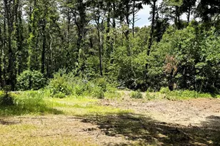 531 Old Kings Hwy, Wellfleet, MA 02667 - Photo 6