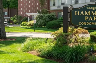 20 Hammond Pond, Newton, MA 02459 - Photo 14