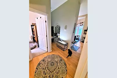 49 Cedar St #1 Rear, Boston, MA 02119 - Photo 8