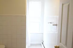 40 Forest St, Boston, MA 02119 - Photo 10