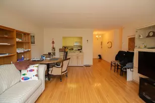 22 Chestnut Pl, Brookline, MA 02445 - Photo 4
