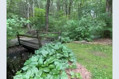 164 White Birch St, Leicester, MA 01524 - Photo 40