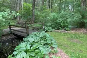 164 White Birch St, Leicester, MA 01524 - Photo 40
