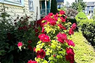 31 Forrester St, Salem, MA 01970 - Photo 16