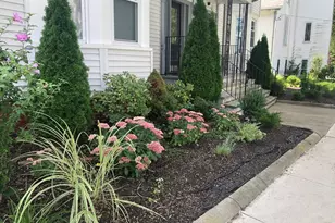 51 College Ave, Somerville, MA 02144 - Photo 16