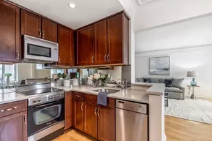 20 Chapel St, Brookline, MA 02446 - Photo 4