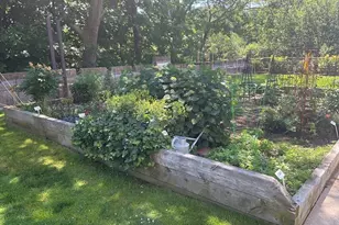 20 Chapel, Brookline, MA 02446 - Photo 34