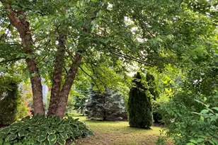 215 North St, Northampton, MA 01060 - Photo 32