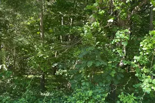 Lot A Ware Rd, Belchertown, MA 01007 - Photo 1