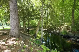 85 Lewis Ave, Walpole, MA 02081 - Photo 36
