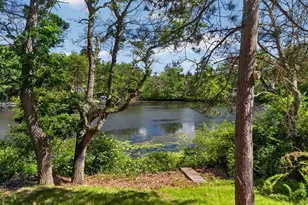 30R Morses Pond Rd, Wellesley, MA 02428 - Photo 20