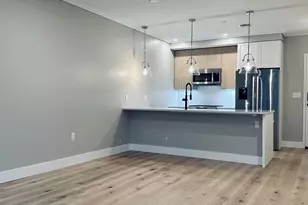 70 Leo Birmingham Pkwy, Boston, MA 02135 - Photo 4