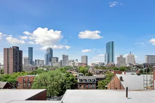 1411 Washington, Boston, MA 02118 - Photo 22