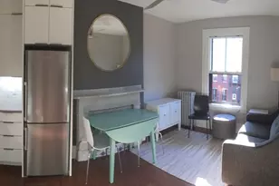154 W Concord St, Boston, MA 02118 - Photo 4