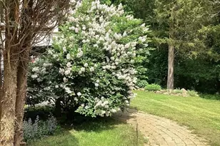 100 Choate, Essex, MA 01929 - Photo 4