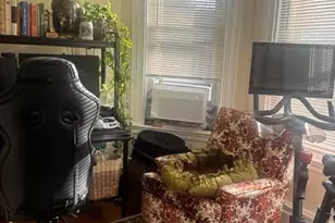 84 P St, Boston, MA 02127 - Photo 10