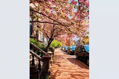 538 Massachusetts Ave #3, Boston, MA 02118 - Photo 14
