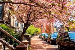538 Massachusetts Ave, Boston, MA 02118 - Photo 14