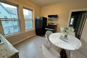 4 Otisfield, Boston, MA 02121 - Photo 4