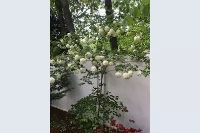 590 Lowell Street, Lexington, MA 02420 - Photo 34