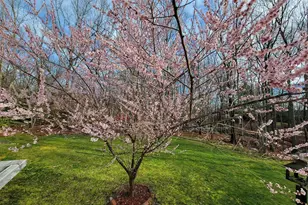 35 Castle Dr, Sharon, MA 02067 - Photo 36