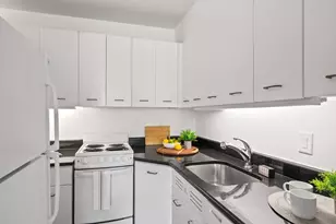 29 Concord Ave, Cambridge, MA 02138 - Photo 8