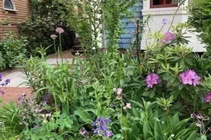 26 Mt Auburn St, Cambridge, MA 02138 - Photo 12