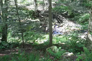 43-A River Rd, Middlefield, MA 01050 - Photo 8