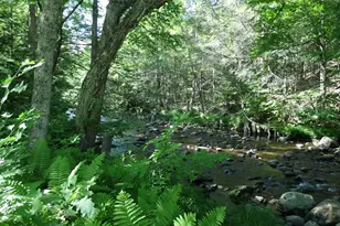 30 River Rd, Middlefield, MA 01050 - Photo 6