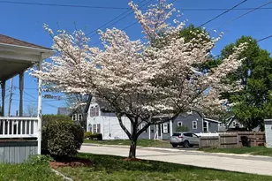 27 Erin St, Whitman, MA 02382 - Photo 38