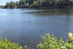 64 S Shore Dr, Orange, MA 01364 - Photo 40
