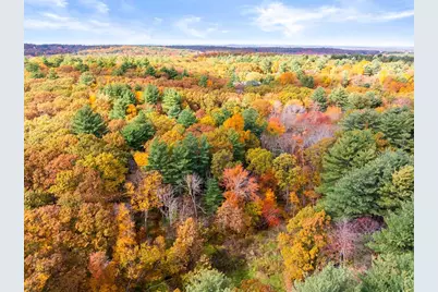 61 Page Rd, Lincoln, MA 01773 - Photo 6