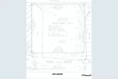 30 Thorn St, Boston, MA 02136 - Photo 4