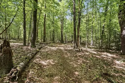 0 Carter Pond Road, Petersham, MA 01366 - Photo 8