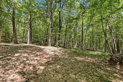 0 Carter Pond Road, Petersham, MA 01366 - Photo 12