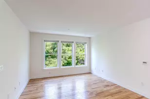 87 New, Cambridge, MA 02138 - Photo 4