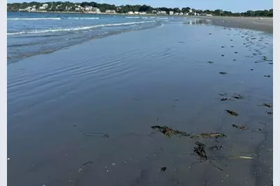 17 Mills Terrace, Nahant, MA 01908 - Photo 6
