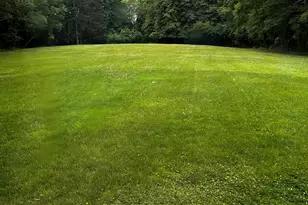 72 Ober Rd, Newton, MA 02459 - Photo 2
