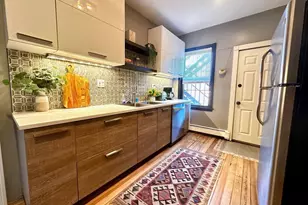 10 Pompeii St, Boston, MA 02119 - Photo 8
