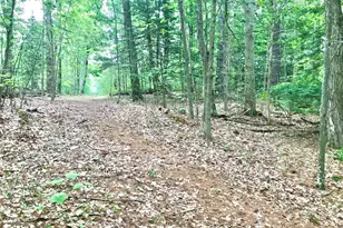 1165 Reservoir Rd, Otis, MA 01253 - Photo 30