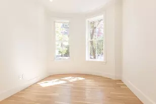 156 W Concord St, Boston, MA 02118 - Photo 14