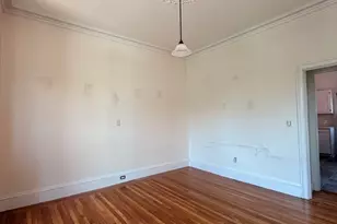 11 Grant St, Boston, MA 02125 - Photo 12